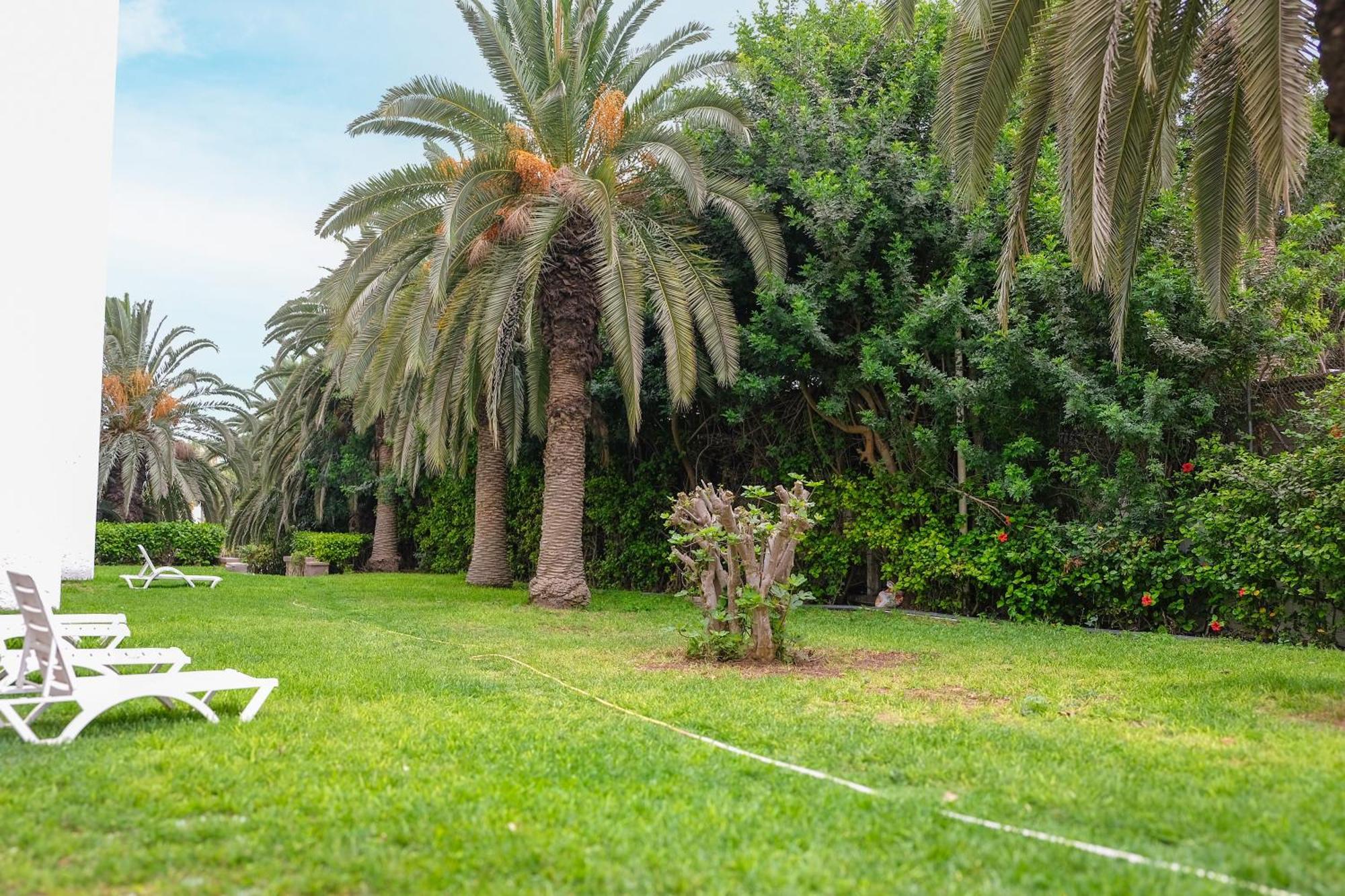 Hamilton Agadir Hotel Kültér fotó